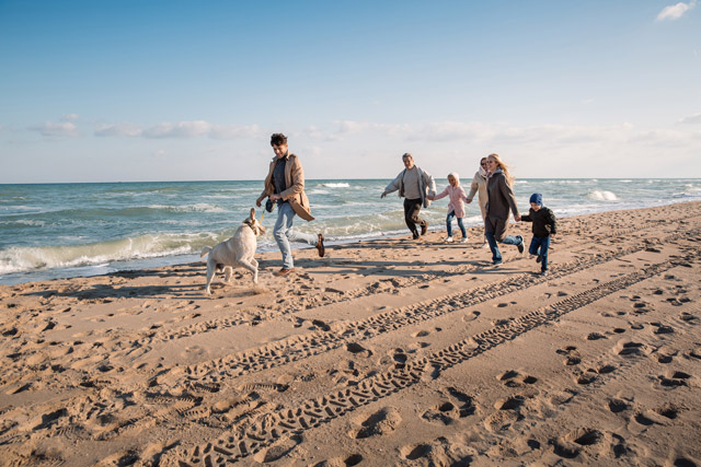 Pet-Friendly Hotel: Bring Your Furry Friends on Family Vacation